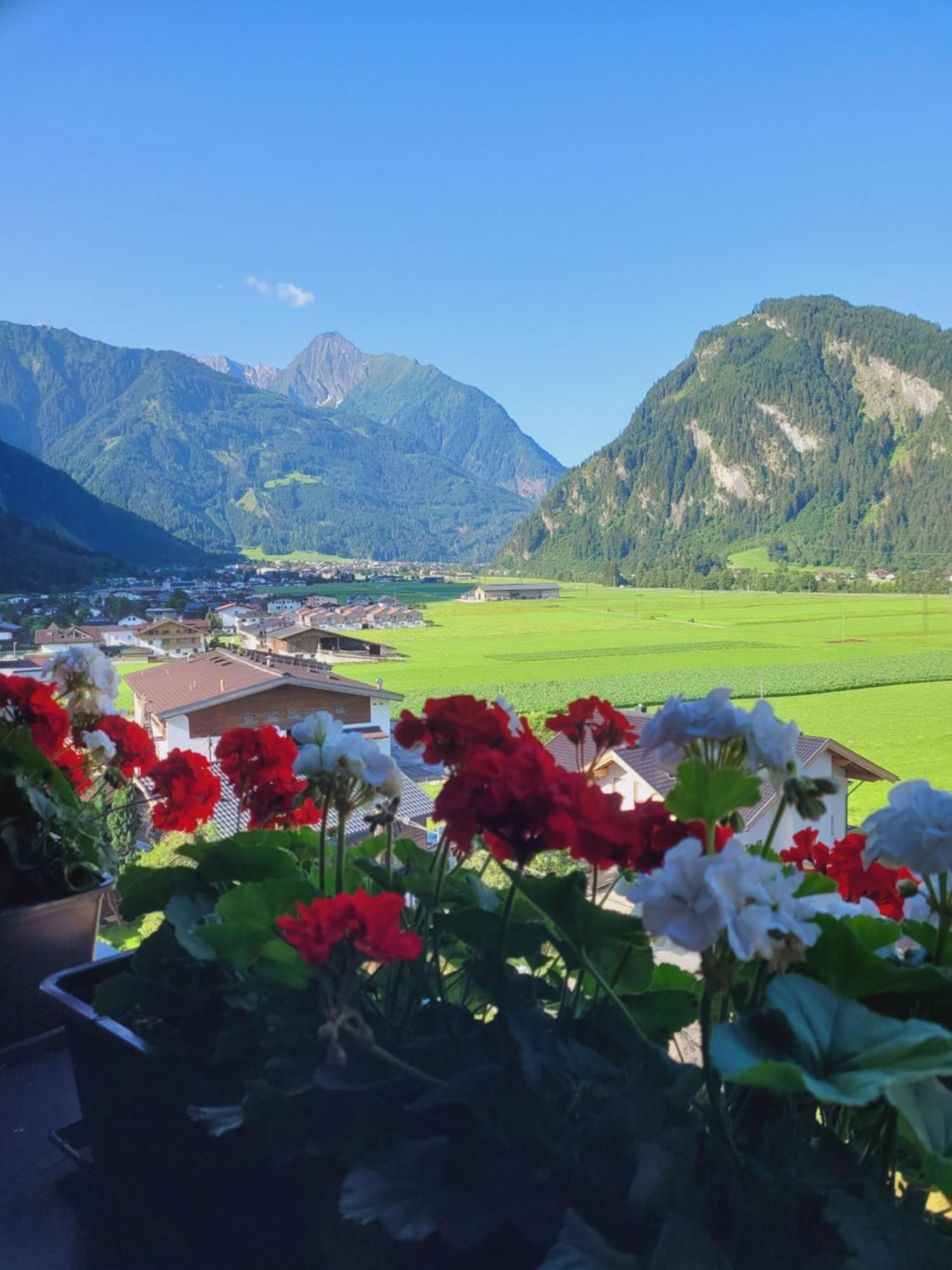 Hotel Eckartauerhof 메이른호픈 외부 사진